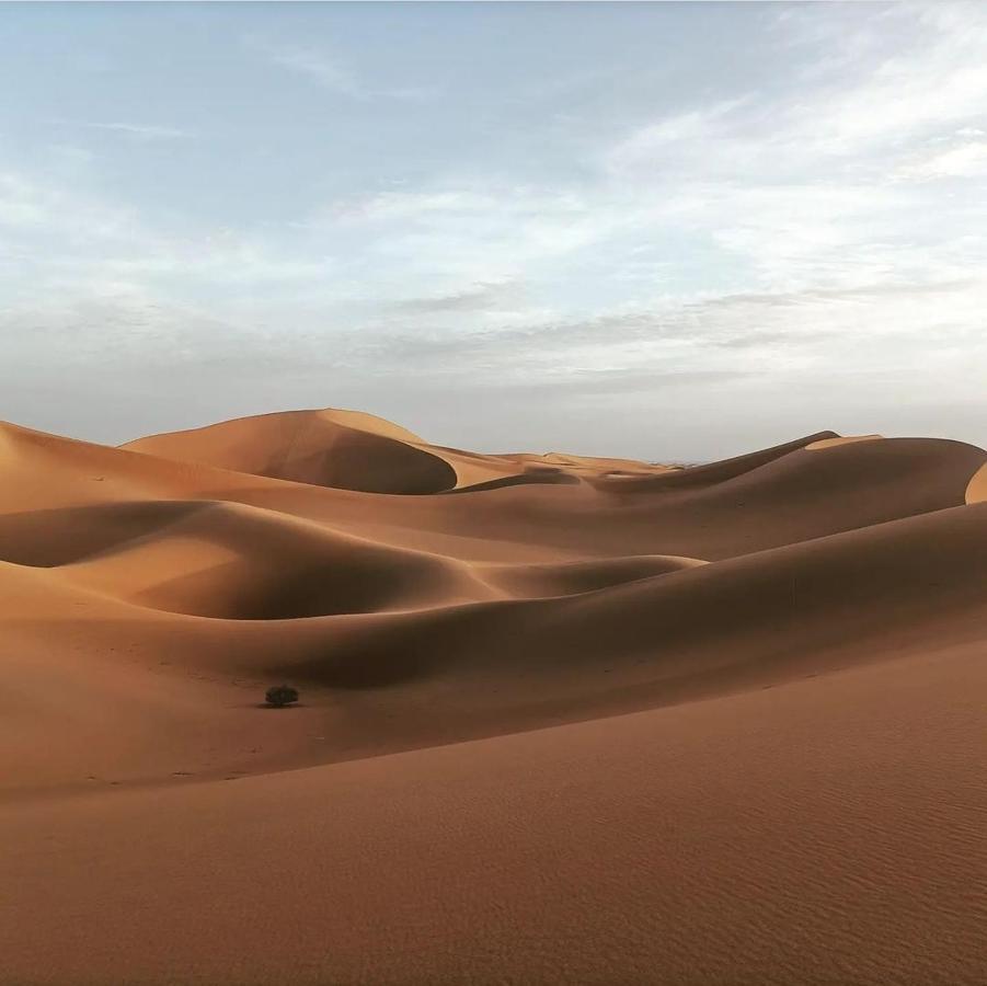 Chegaga Desert Trips Camp M'Hamid Ngoại thất bức ảnh