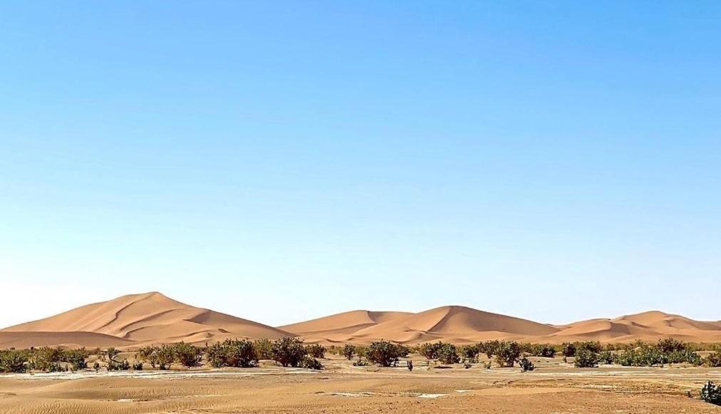 Chegaga Desert Trips Camp M'Hamid Ngoại thất bức ảnh