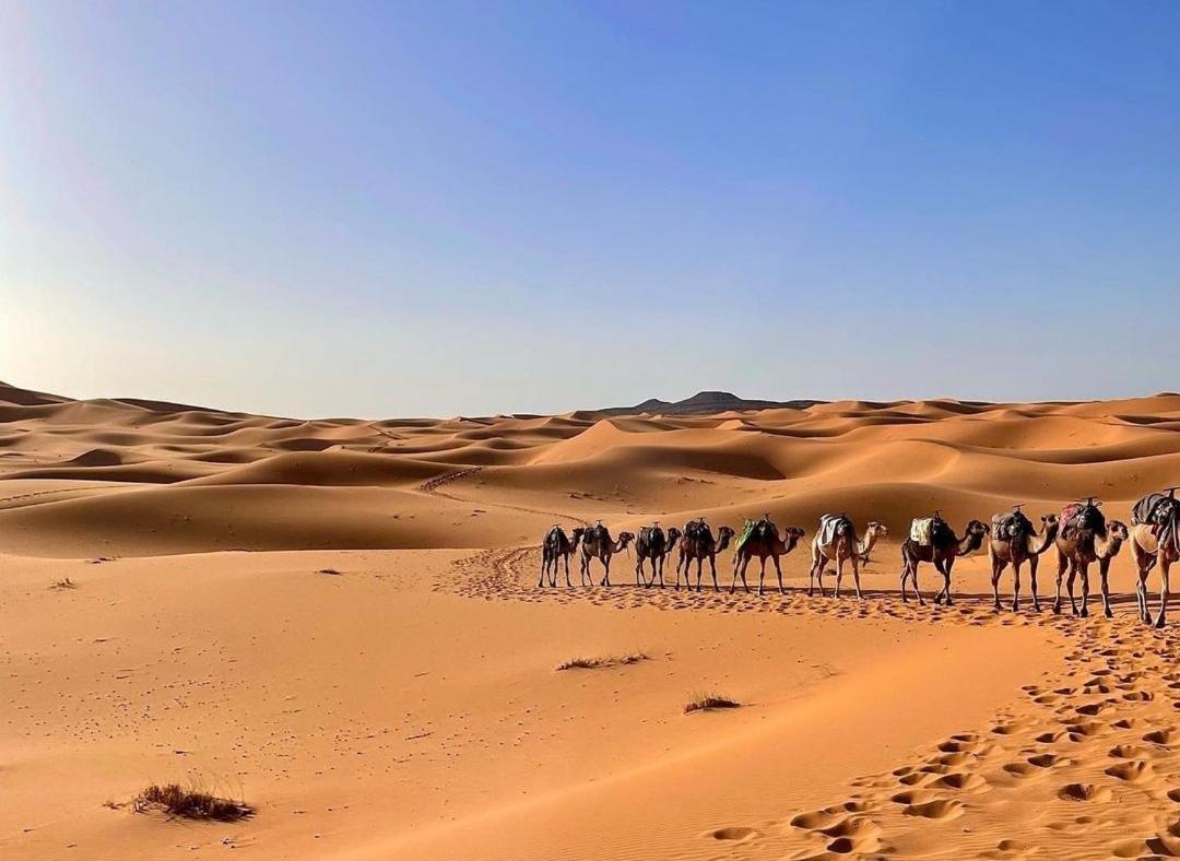 Chegaga Desert Trips Camp M'Hamid Ngoại thất bức ảnh