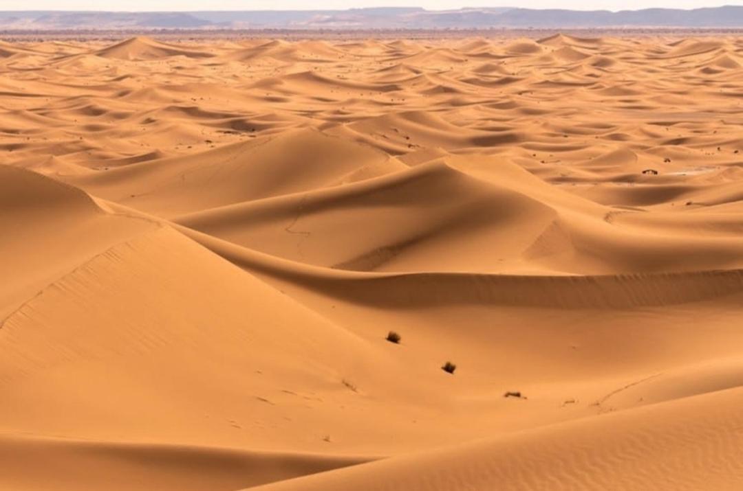 Chegaga Desert Trips Camp M'Hamid Ngoại thất bức ảnh